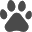 לוגו של פופקורן